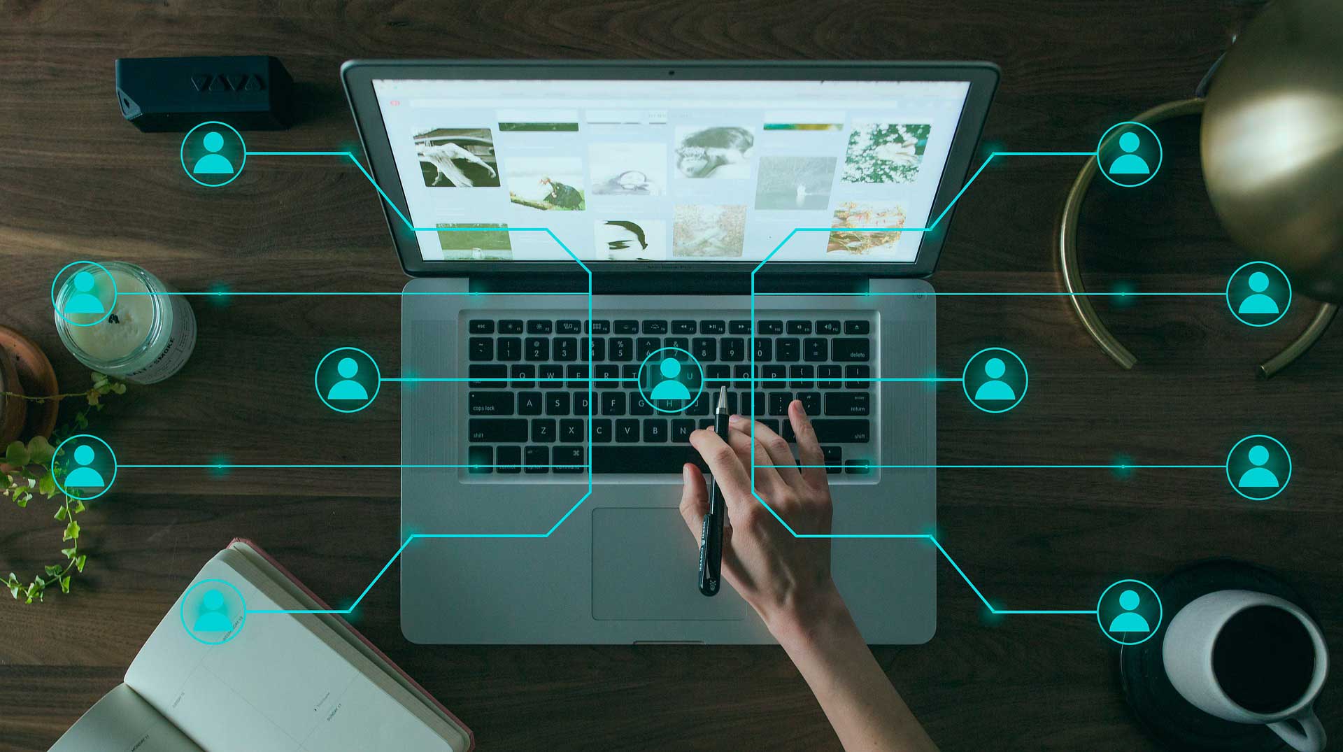 Website development and programming