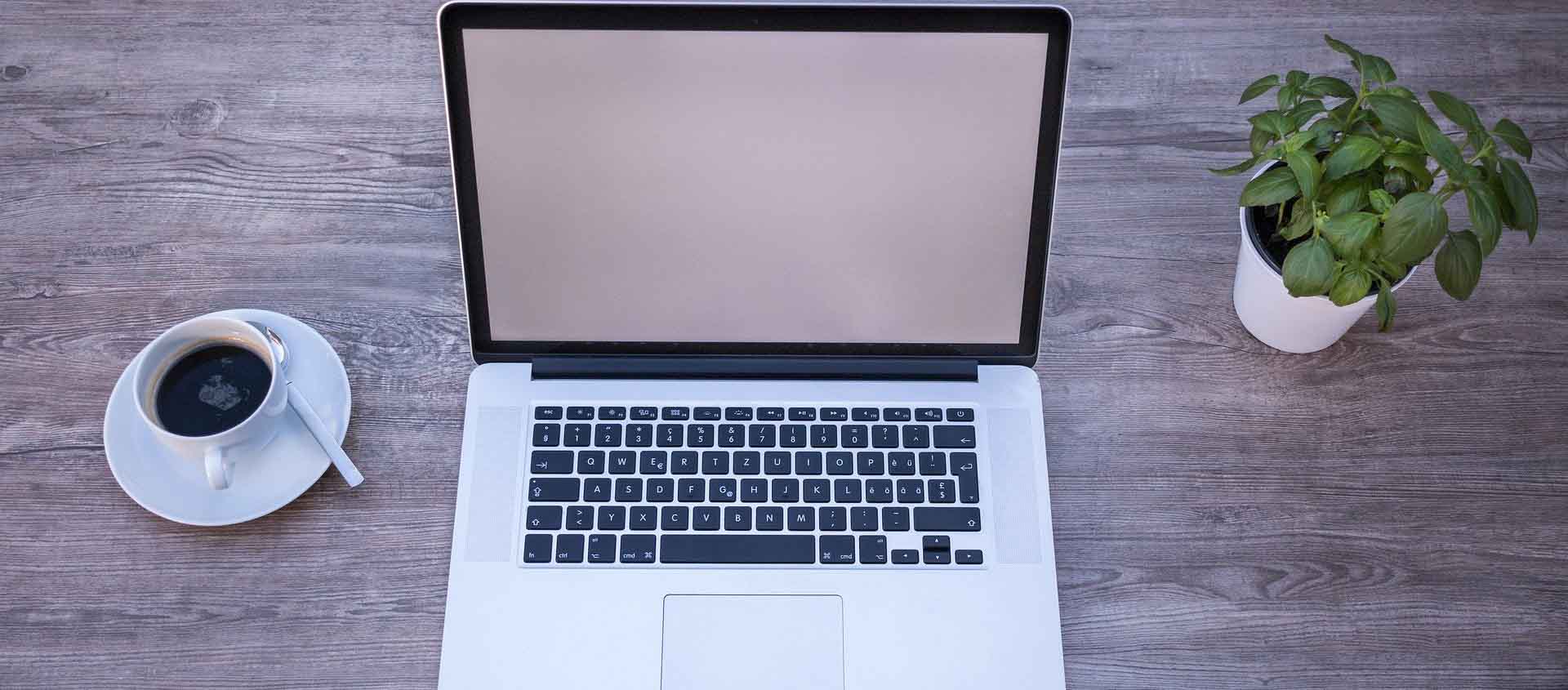 Website development and programming